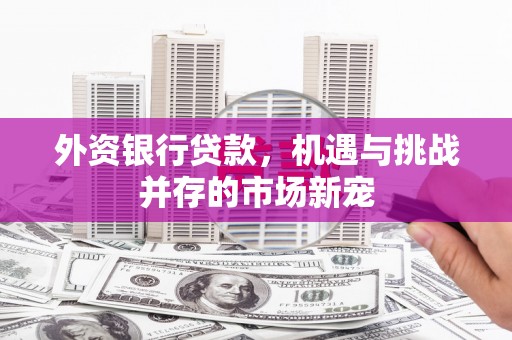 玄武外资银行贷款，机遇与挑战并存的市场新宠