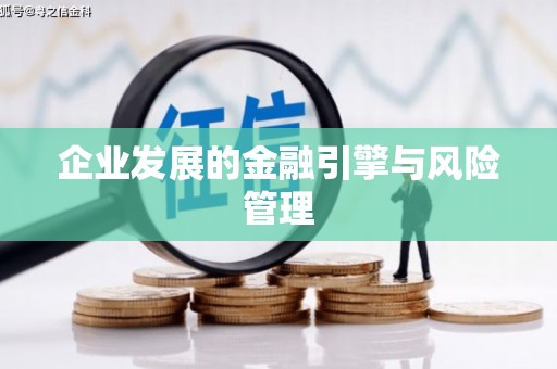 四湖企业发展的金融引擎与风险管理