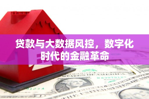 莎车贷款与大数据风控，数字化时代的金融革命
