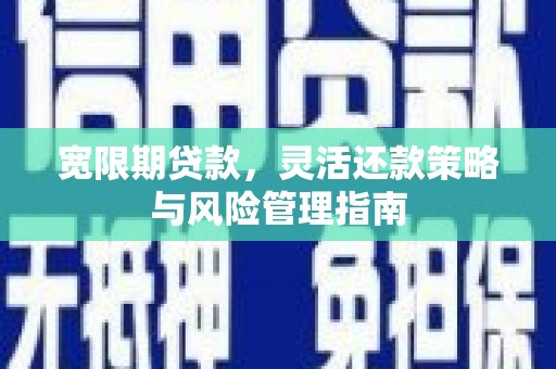 长寿宽限期贷款，灵活还款策略与风险管理指南
