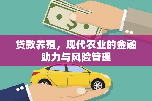 子洲贷款养殖，现代农业的金融助力与风险管理