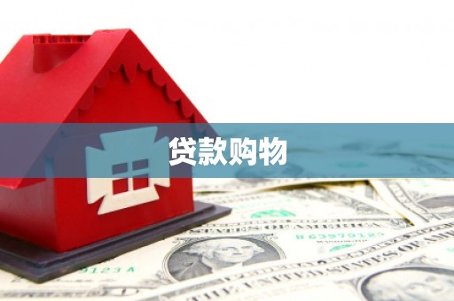 于田贷款购物