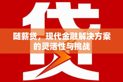 海南随薪贷，现代金融解决方案的灵活性与挑战
