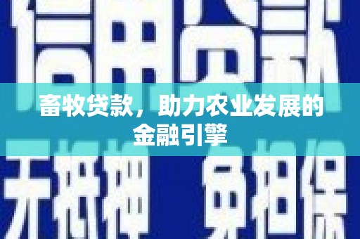 九原畜牧贷款，助力农业发展的金融引擎