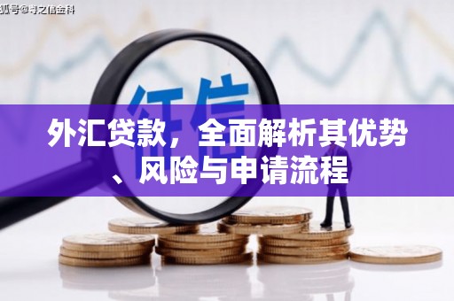 二水外汇贷款，全面解析其优势、风险与申请流程