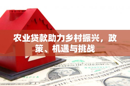 驻马店农业贷款助力乡村振兴，政策、机遇与挑战