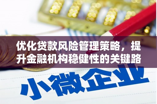 平湖优化贷款风险管理策略，提升金融机构稳健性的关键路径
