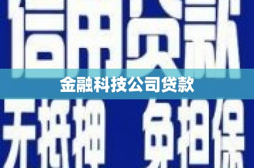卑南金融科技公司贷款