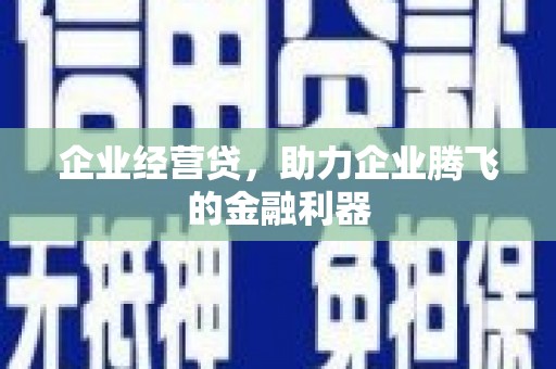 隆回企业经营贷，助力企业腾飞的金融利器