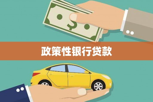 马边政策性银行贷款