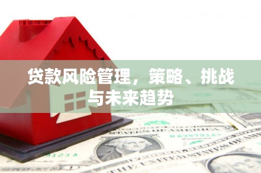东台贷款风险管理，策略、挑战与未来趋势