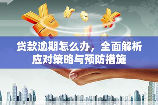 巍山贷款逾期怎么办，全面解析应对策略与预防措施