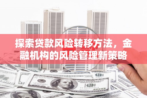 小金探索贷款风险转移方法，金融机构的风险管理新策略