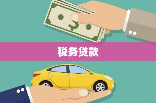 白山税务贷款