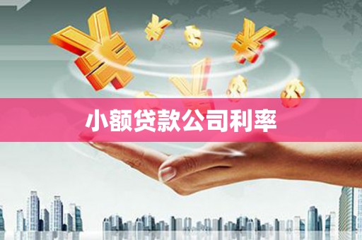 泾河小额贷款公司利率
