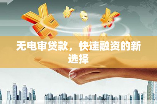 普湾新区无电审贷款，快速融资的新选择