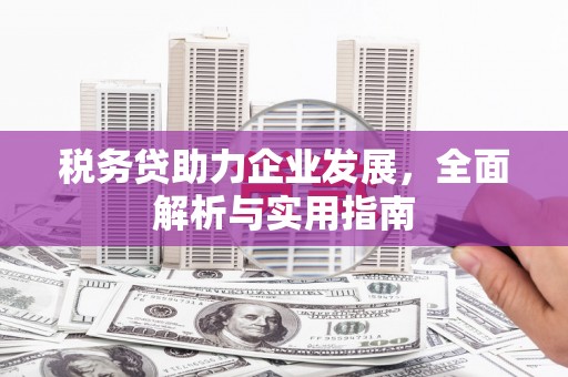 青羊税务贷助力企业发展，全面解析与实用指南