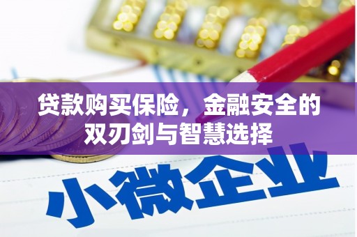 清流贷款购买保险，金融安全的双刃剑与智慧选择