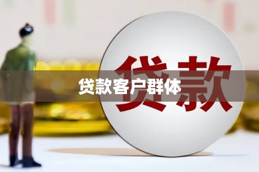 望城贷款客户群体