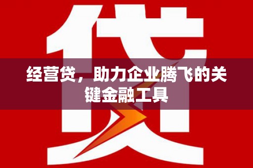 广宗经营贷，助力企业腾飞的关键金融工具