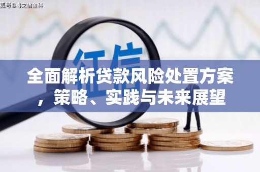 永善全面解析贷款风险处置方案，策略、实践与未来展望