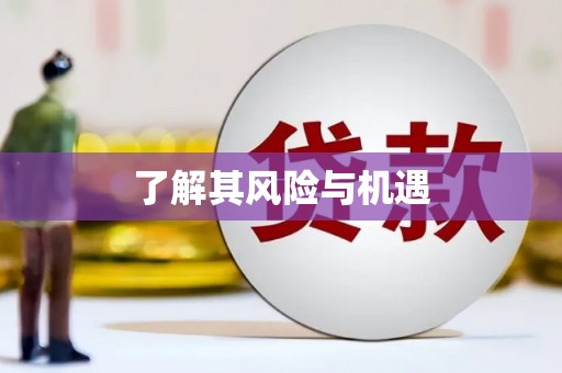 民雄了解其风险与机遇