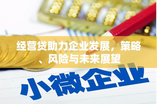 开化经营贷助力企业发展，策略、风险与未来展望