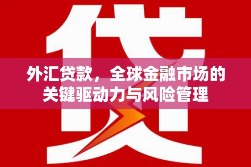 天桥外汇贷款，全球金融市场的关键驱动力与风险管理