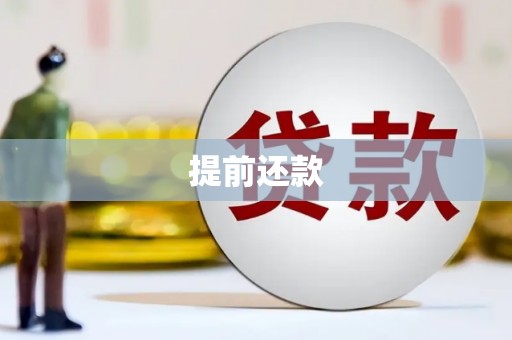 保康提前还款