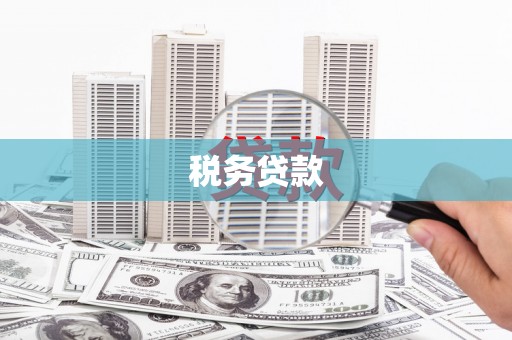 青阳税务贷款