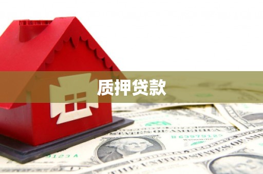 阜阳质押贷款