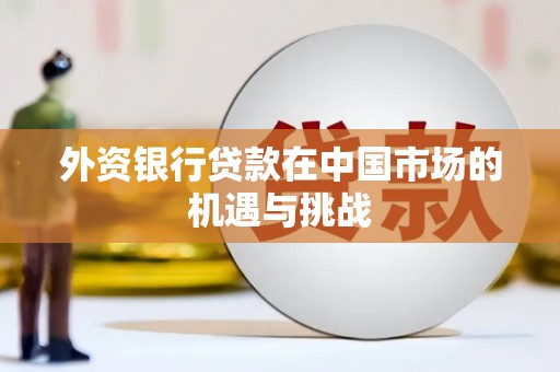 绥滨外资银行贷款在中国市场的机遇与挑战
