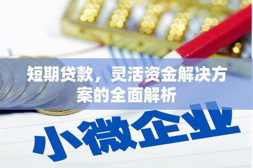 沙依巴克短期贷款，灵活资金解决方案的全面解析