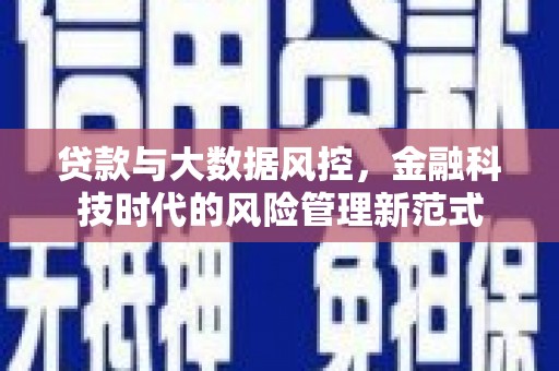 墨玉贷款与大数据风控，金融科技时代的风险管理新范式