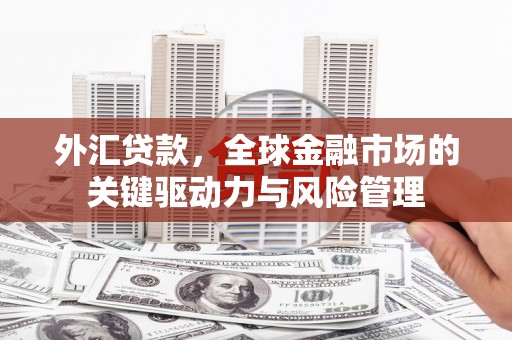 暖暖外汇贷款，全球金融市场的关键驱动力与风险管理