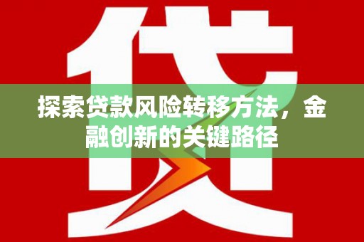 沈河探索贷款风险转移方法，金融创新的关键路径