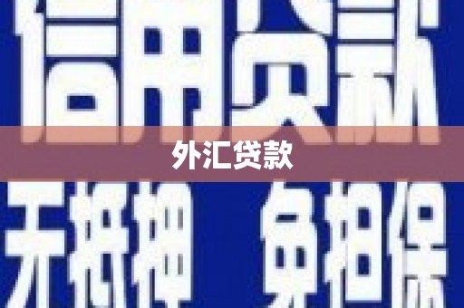 陇南外汇贷款