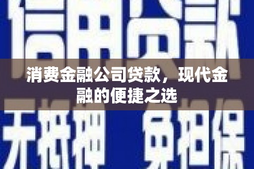 盐津消费金融公司贷款，现代金融的便捷之选