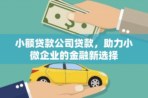 板桥小额贷款公司贷款，助力小微企业的金融新选择