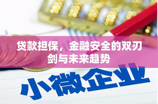 东势贷款担保，金融安全的双刃剑与未来趋势