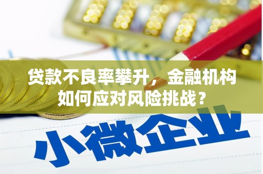 社旗贷款不良率攀升，金融机构如何应对风险挑战？