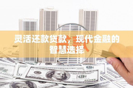 苍南灵活还款贷款，现代金融的智慧选择