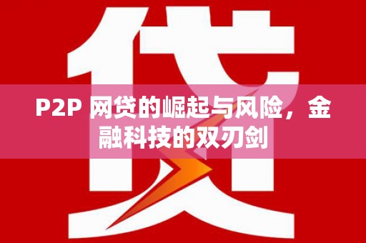 华龙P2P 网贷的崛起与风险，金融科技的双刃剑