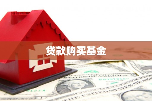 芦淞贷款购买基金