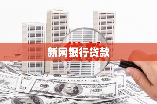 普湾新区新网银行贷款