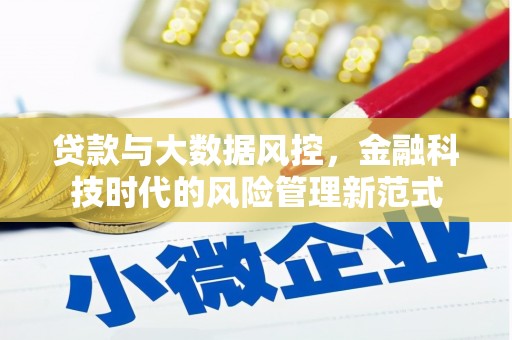 沂南贷款与大数据风控，金融科技时代的风险管理新范式
