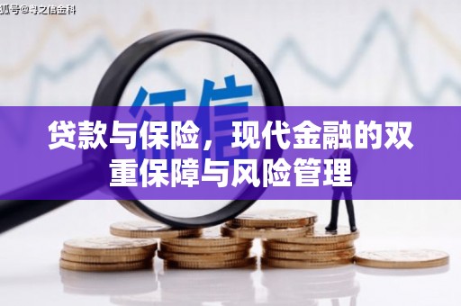 尼玛贷款与保险，现代金融的双重保障与风险管理