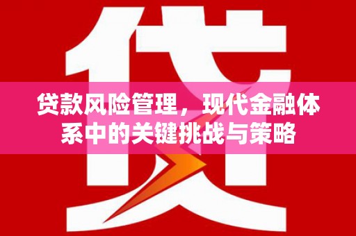 施甸贷款风险管理，现代金融体系中的关键挑战与策略