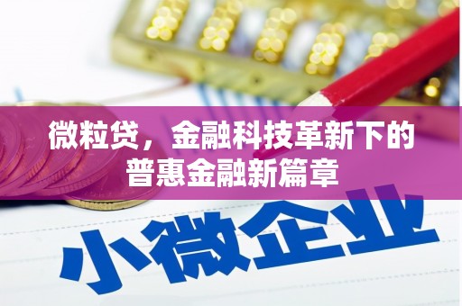 新园微粒贷，金融科技革新下的普惠金融新篇章