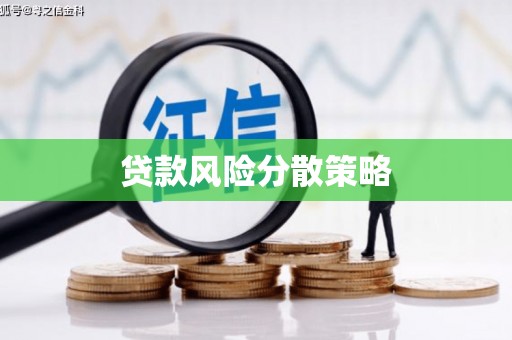 特克斯贷款风险分散策略
